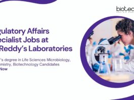 MSc Bioinformatics Job Vacancies