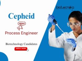 Biotechnology Candidates Process Engineer Cepheid