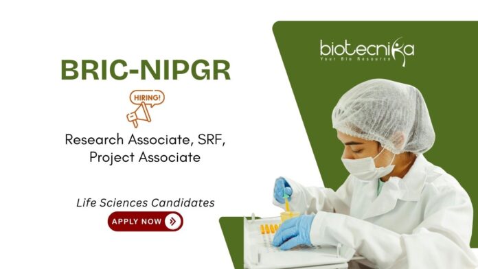 Life Sciences Job Vacancies at BRIC-NIPGR. Apply Now for Project Associate, Research Associate & Senior Research Fellow.