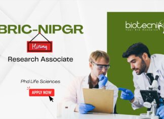 Phd Life Sciences Research Associate at BRIC-NIPGR, New Delhi. Walk-in interview. Apply for DBT & ANRF-CRG projects in plant genomics.