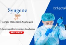 Research Associate Job at Syngene. Masters in Biotechnology and Life Sciences Candidates, Apply Now. Job in Bangalore.