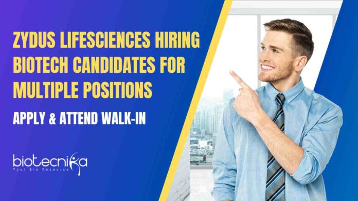 MSc Biotechnology Job Vacancies Latest at Zydus