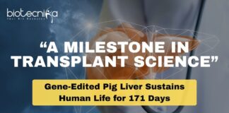 Liver Transplant: A Breakthrough in Medicine