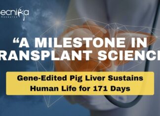 Scientists Perform the World’s First Pig Liver Transplant in a Living Human Liver Transplant: A Breakthrough in Medicine