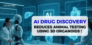 AI-Assisted Drug Discovery Speeds Up as FDA Hurries to Cut Back Animal Testing