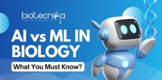 AI vs ML Major Differences Between Artificial Intelligence and Machine Learning in Biology