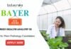 Agricultural Jobs at Bayer Apply for the Seed Health Analyst Role