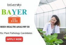 Agricultural Jobs at Bayer Apply for the Seed Health Analyst Role