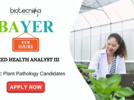 Agricultural Jobs at Bayer Apply for the Seed Health Analyst Role