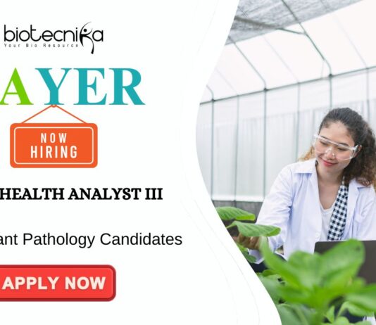 Agricultural Jobs at Bayer Apply for the Seed Health Analyst Role
