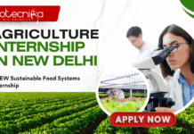 Agriculture Internship in New Delhi - CEEW Sustainable Food Systems Internship – Apply Now
