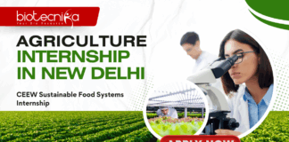 Agriculture Internship in New Delhi - CEEW Sustainable Food Systems Internship – Apply Now