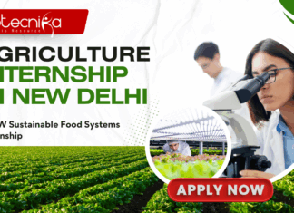 Agriculture Internship in New Delhi - CEEW Sustainable Food Systems Internship – Apply Now