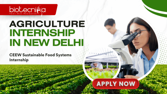 Agriculture Internship in New Delhi - CEEW Sustainable Food Systems Internship – Apply Now