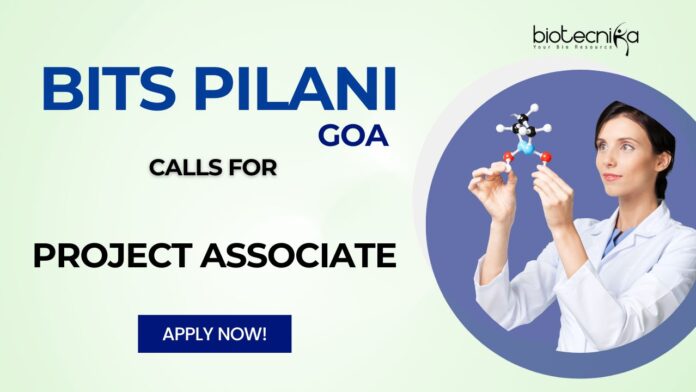 BITS Pilani, Goa Call for Project Associate Role – Research on SUSBIO ECOTREAT STP Apply Now!