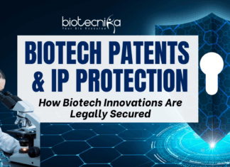 Patents in Biotechnology: How Biotech Innovations Are Legally Secured