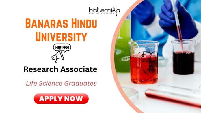 Biotechnology & Microbiology Jobs | Research Associate Vacancy
