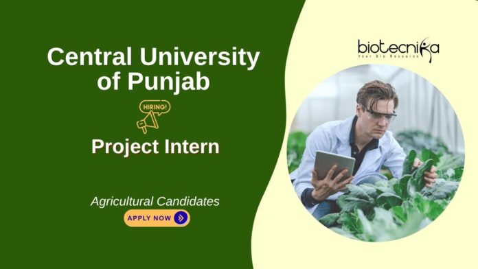 Agricultural Intern Opportunity at Central University of Punjab. Short-term internship with SERB-DST project on groundwater depletion. Apply