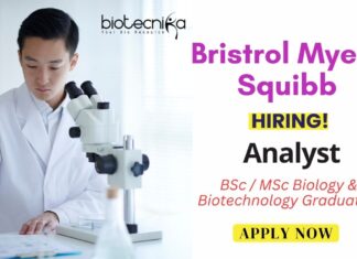 Job at Bristol Myers Squibb - Analyst Role in Hyderabad | BSc / MSc Biology & Biotechnology Graduates Apply