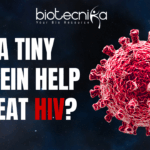 HIV's Shape-Shifting Protein: A Breakthrough that Can Potentially Make HIV Medicines Smarter