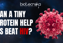 HIV's Shape-Shifting Protein: A Breakthrough that Can Potentially Make HIV Medicines Smarter