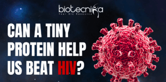 HIV's Shape-Shifting Protein: A Breakthrough that Can Potentially Make HIV Medicines Smarter