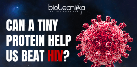 HIV’s Shape-Shifting Protein: A Breakthrough that Can Potentially Make HIV Medicines Smarter HIV's Shape-Shifting Protein: A Breakthrough that Can Potentially Make HIV Medicines Smarter