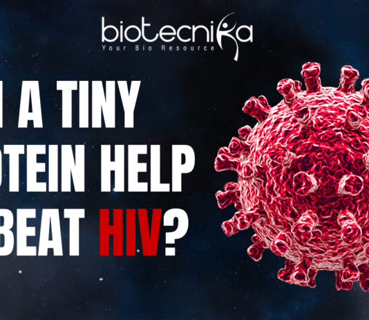 HIV's Shape-Shifting Protein: A Breakthrough that Can Potentially Make HIV Medicines Smarter