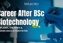 Career After BSc Biotechnology: Top Jobs, Salaries, and Higher Education Paths