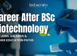Career After BSc Biotechnology: Top Jobs, Salaries, and Higher Education Paths Career After BSc Biotechnology: Top Jobs, Salaries, and Higher Education Paths