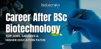 Career After BSc Biotechnology: Top Jobs, Salaries, and Higher Education Paths