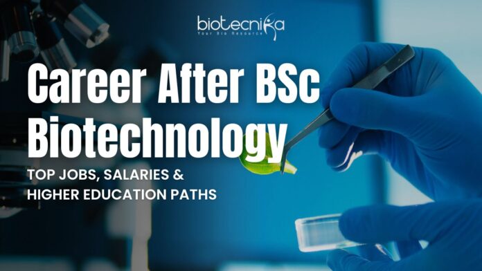 Career After BSc Biotechnology: Top Jobs, Salaries, and Higher Education Paths Career After BSc Biotechnology: Top Jobs, Salaries, and Higher Education Paths