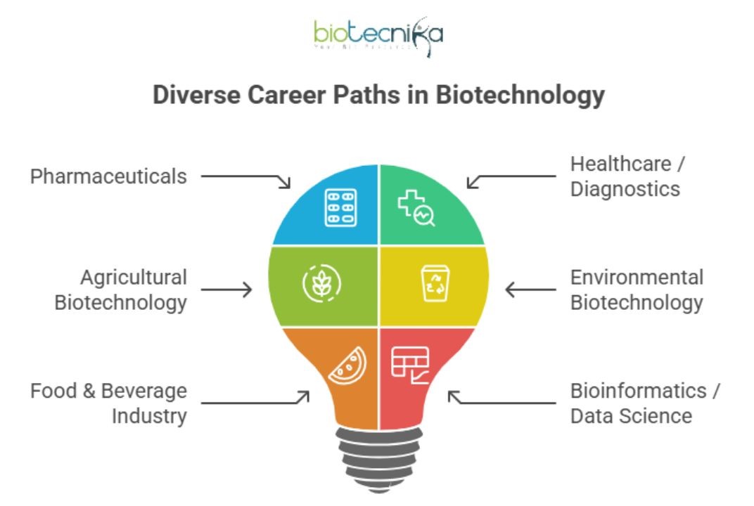 Career Paths in Biotechnology