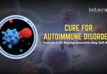 Cure for Autoimmune Diseases? Immunotherapy Reprograms Rogue T Cells to Stop Self-Attack