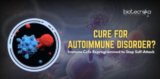 Cure for Autoimmune Diseases? Immunotherapy Reprograms Rogue T Cells to Stop Self-Attack