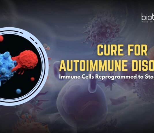 Cure for Autoimmune Diseases? Immunotherapy Reprograms Rogue T Cells to Stop Self-Attack