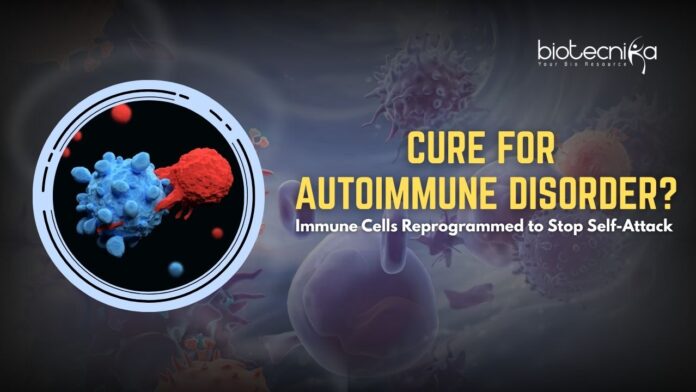 Cure for Autoimmune Diseases? Immunotherapy Reprograms Rogue T Cells to Stop Self-Attack