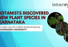 DAVANGERE UNIVERSITY BOTANISTS DISCOVERED NEW PLANT SPECIES IN KARNATAKA