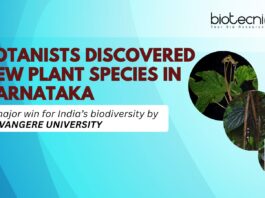 Davangere University Botanists Discovered New Plant Species In Karnataka DAVANGERE UNIVERSITY BOTANISTS DISCOVERED NEW PLANT SPECIES IN KARNATAKA
