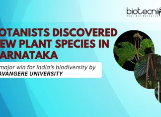 Davangere University Botanists Discovered New Plant Species In Karnataka DAVANGERE UNIVERSITY BOTANISTS DISCOVERED NEW PLANT SPECIES IN KARNATAKA