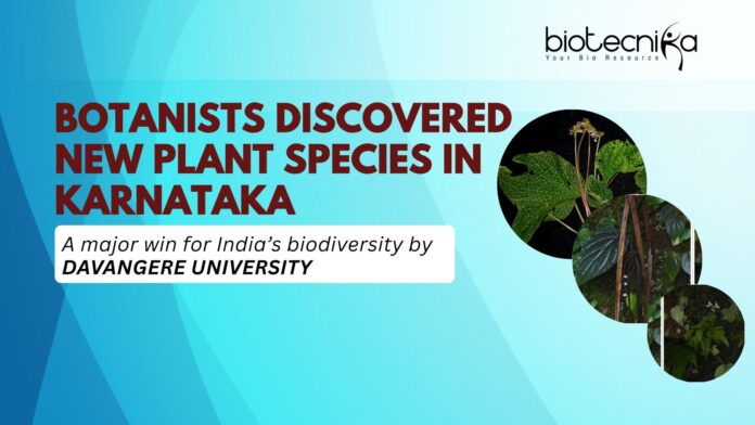 DAVANGERE UNIVERSITY BOTANISTS DISCOVERED NEW PLANT SPECIES IN KARNATAKA