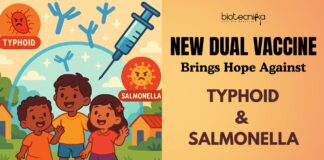 Dual Defense Strategy New Phase 1 Trial Vaccine Offers Hope Against Invading Salmonella and Typhoid