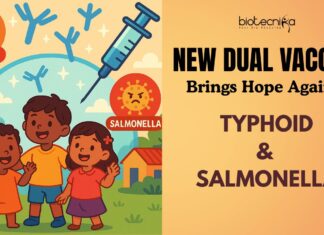 Dual Defense Strategy: New Phase 1 Trial Vaccine Offers Hope Against Invading Salmonella and Typhoid Dual Defense Strategy New Phase 1 Trial Vaccine Offers Hope Against Invading Salmonella and Typhoid