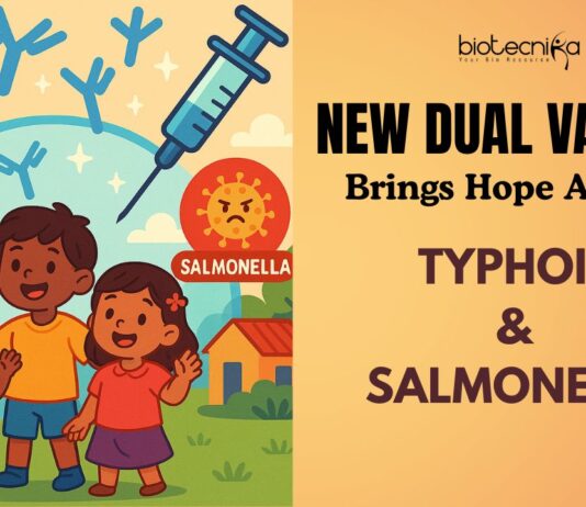 Dual Defense Strategy New Phase 1 Trial Vaccine Offers Hope Against Invading Salmonella and Typhoid