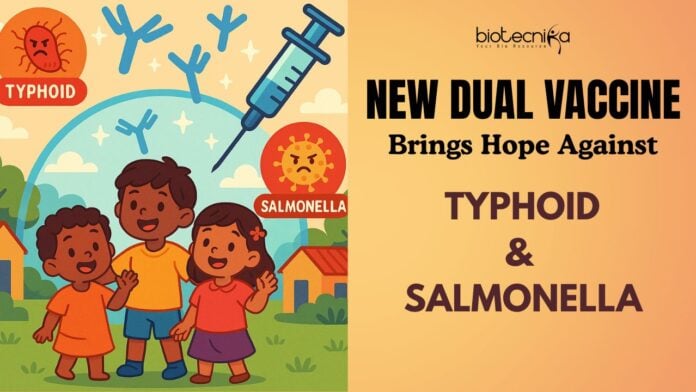 Dual Defense Strategy New Phase 1 Trial Vaccine Offers Hope Against Invading Salmonella and Typhoid