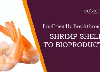 Shrimp Shells to Bioproducts: An Eco-Friendly Breakthrough Eco-Friendly Breakthrough: Shrimp Shells to Bioproducts