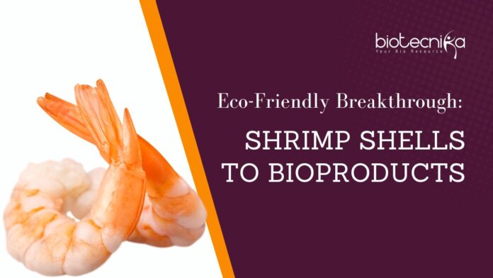 Eco-Friendly Breakthrough: Shrimp Shells to Bioproducts