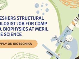 Freshers Structural Biologist Job