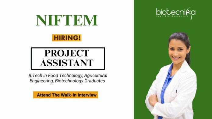 Food Technology Job at NIFTEM BTech MTech Graduates Attend the Walk-In Interview