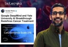 Google DeepMind and Yale University AI Breakthrough Redefines Cancer Treatment. AI model from Google DeepMind and Yale University highlighting cancer cells for advanced immunotherapy research